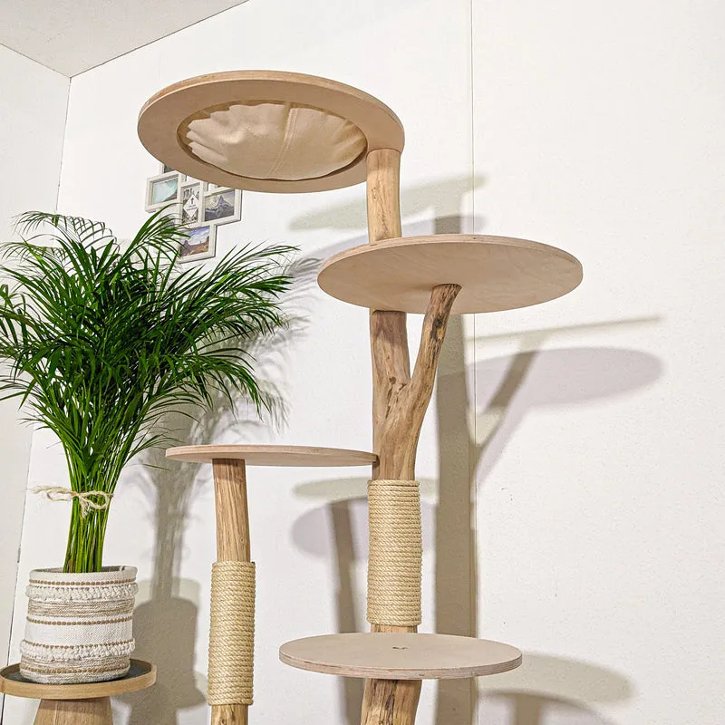 Naturkratzbaum 4351 Kratzbaum Natur Holz Design 160 cm hoch Katzenbaum
