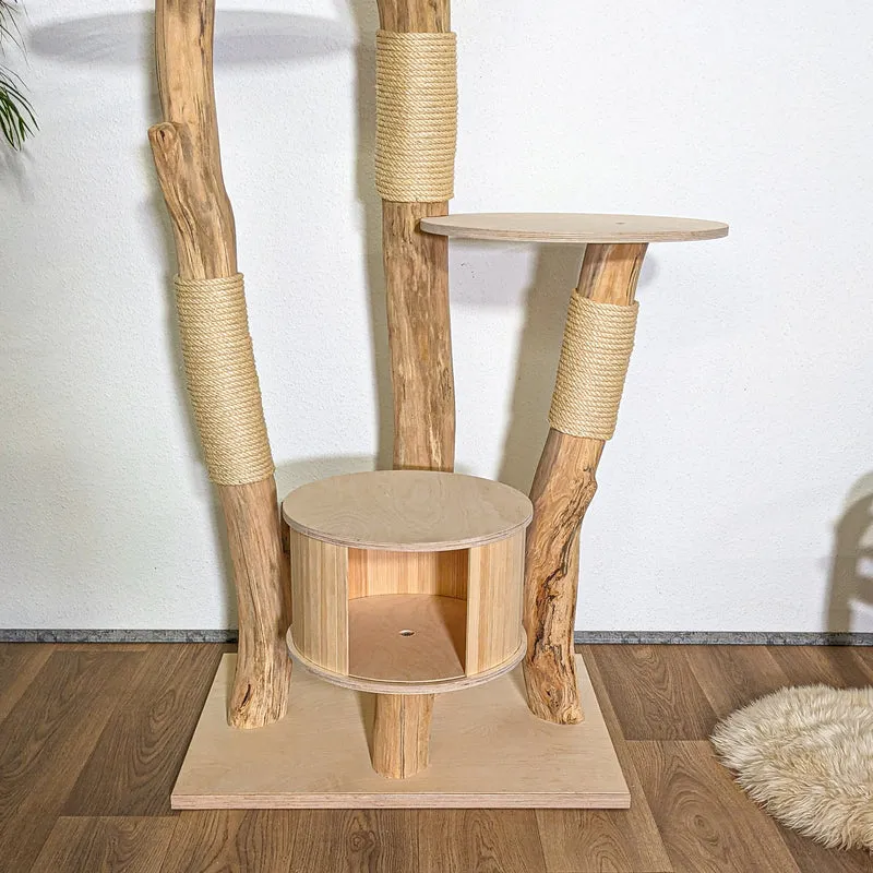 Naturkratzbaum 4348 Kratzbaum Natur Holz Design 210 cm hoch Katzenbaum