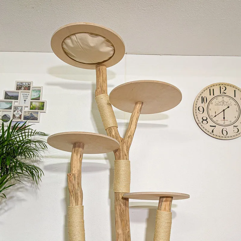 Naturkratzbaum 4348 Kratzbaum Natur Holz Design 210 cm hoch Katzenbaum