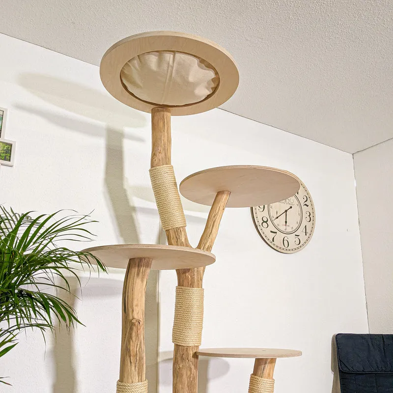 Naturkratzbaum 4348 Kratzbaum Natur Holz Design 210 cm hoch Katzenbaum