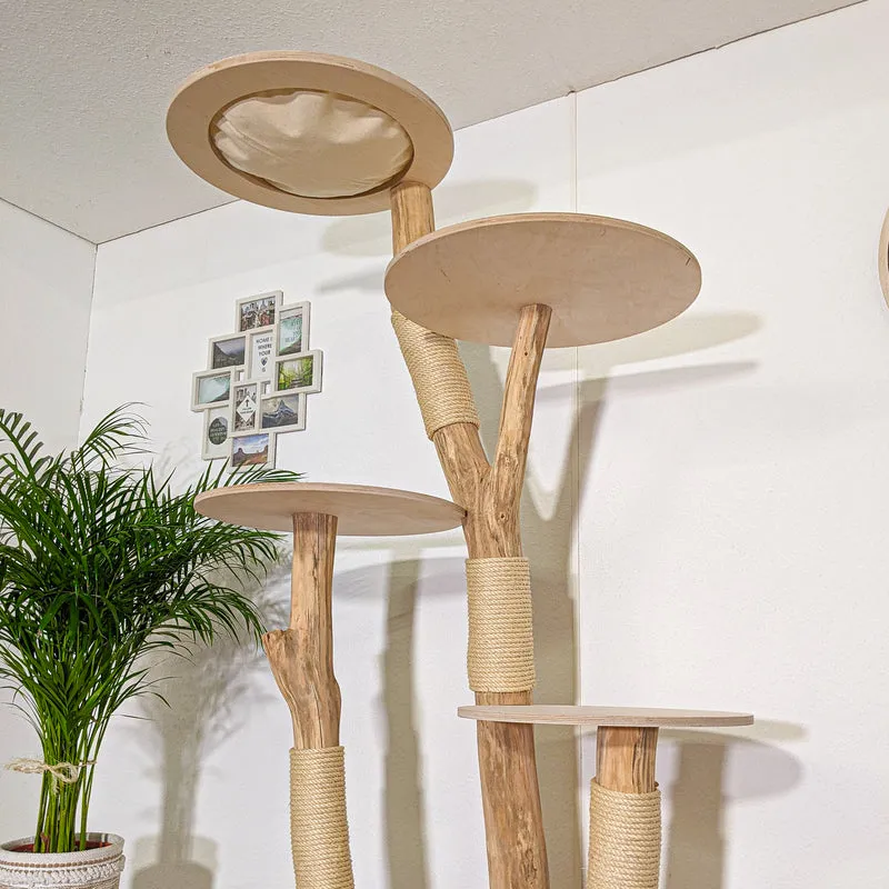 Naturkratzbaum 4348 Kratzbaum Natur Holz Design 210 cm hoch Katzenbaum