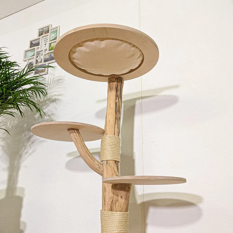 Naturkratzbaum 4347 Kratzbaum Natur Holz Design 123 cm hoch Katzenbaum