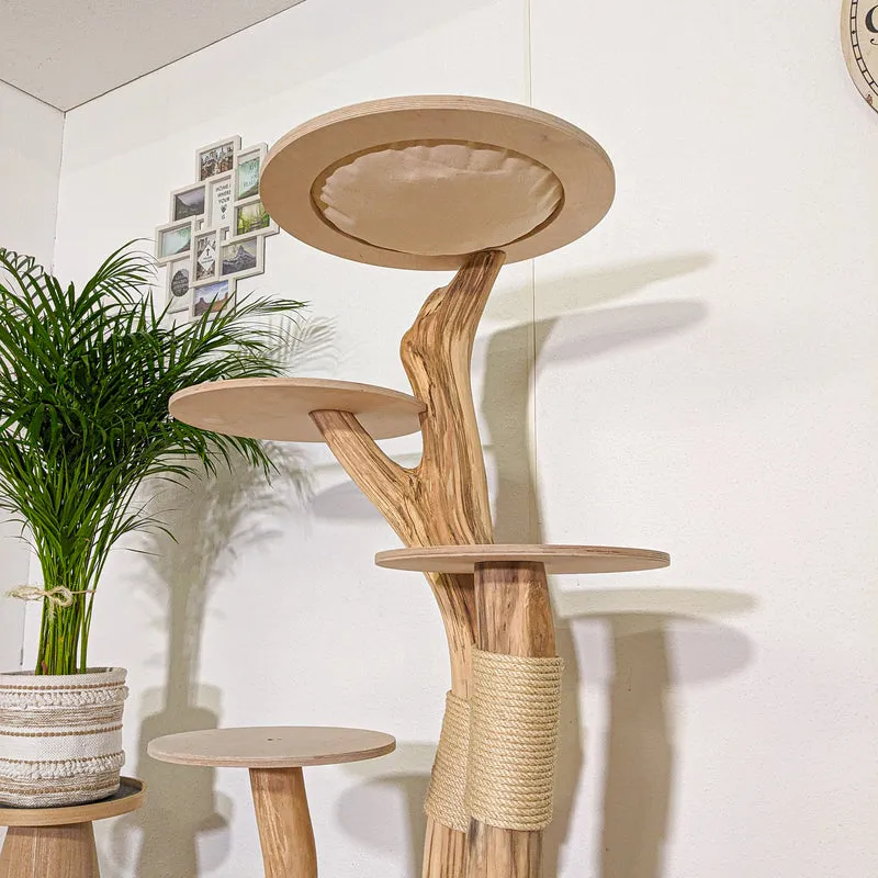 Naturkratzbaum 4344 Kratzbaum Natur Holz Design 145 cm hoch Katzenbaum