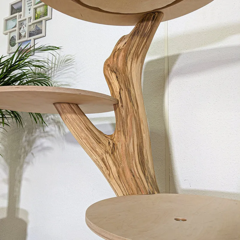 Naturkratzbaum 4344 Kratzbaum Natur Holz Design 145 cm hoch Katzenbaum