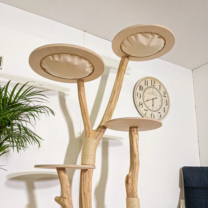 Naturkratzbaum 4343 Kratzbaum Natur Holz Design 210 cm hoch Katzenbaum