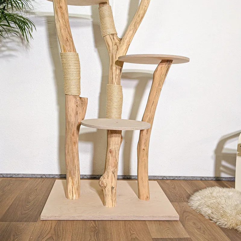 Naturkratzbaum 4342 Kratzbaum Natur Holz Design 205 cm hoch Katzenbaum