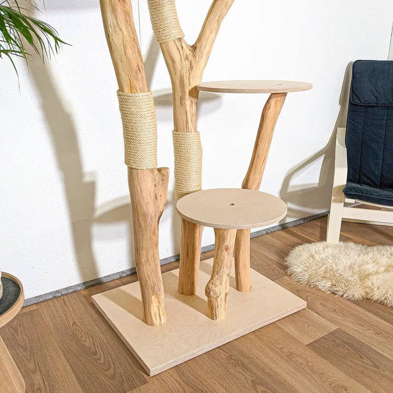 Naturkratzbaum 4342 Kratzbaum Natur Holz Design 205 cm hoch Katzenbaum