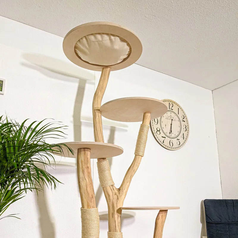 Naturkratzbaum 4342 Kratzbaum Natur Holz Design 205 cm hoch Katzenbaum