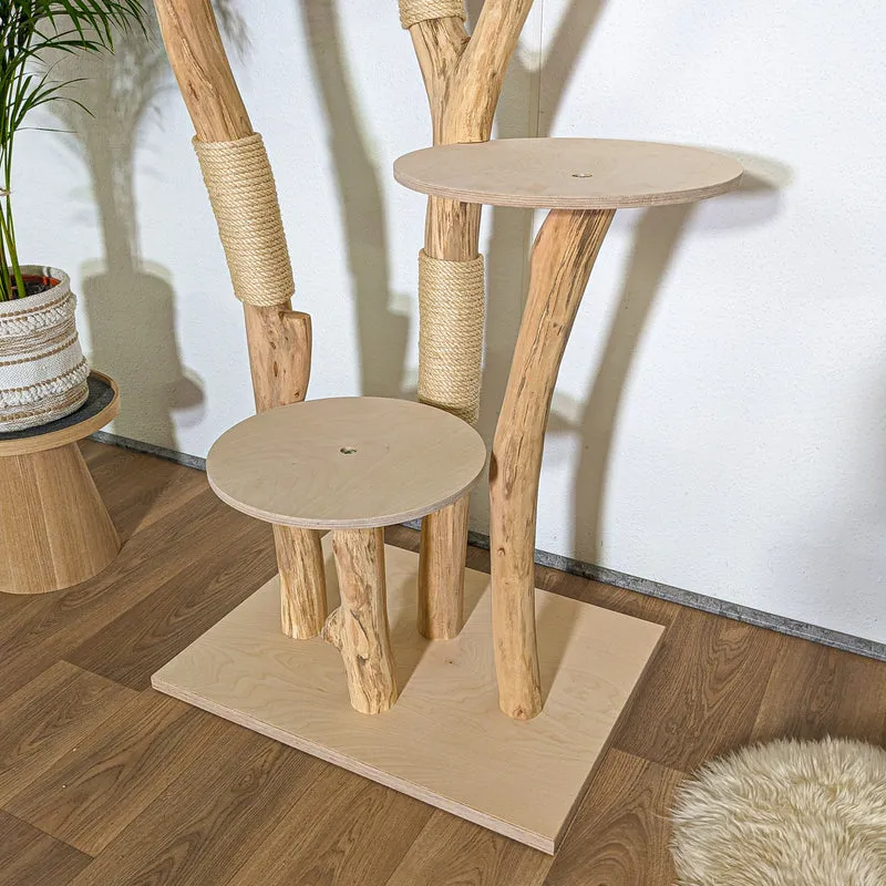 Naturkratzbaum 4342 Kratzbaum Natur Holz Design 205 cm hoch Katzenbaum