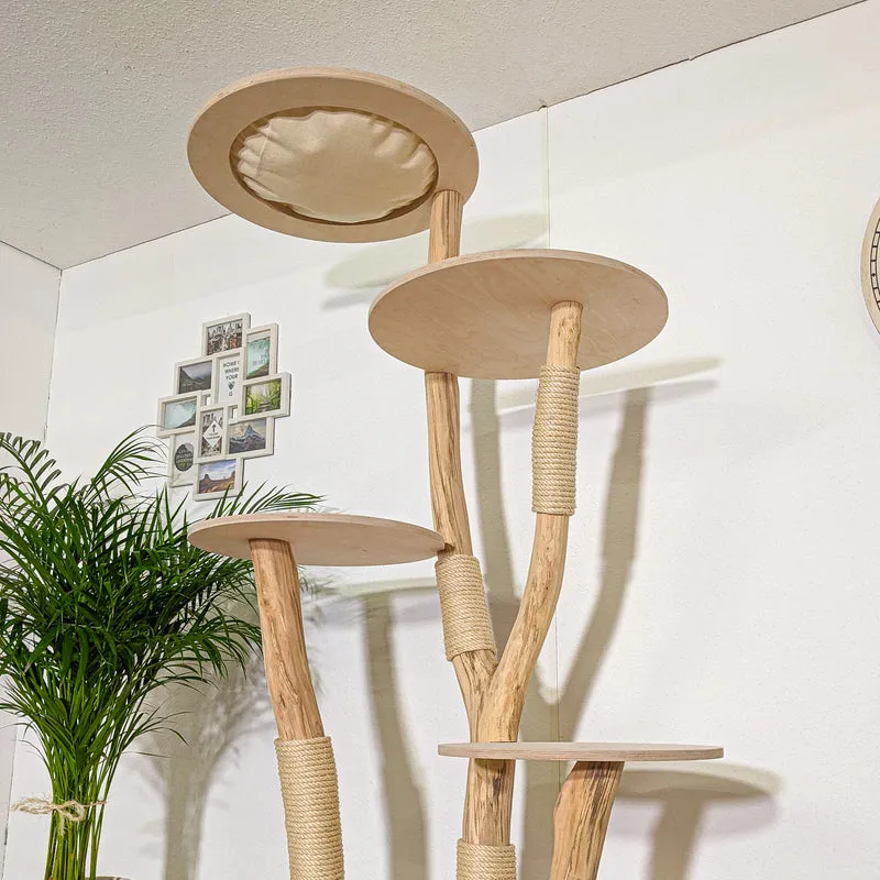 Naturkratzbaum 4342 Kratzbaum Natur Holz Design 205 cm hoch Katzenbaum