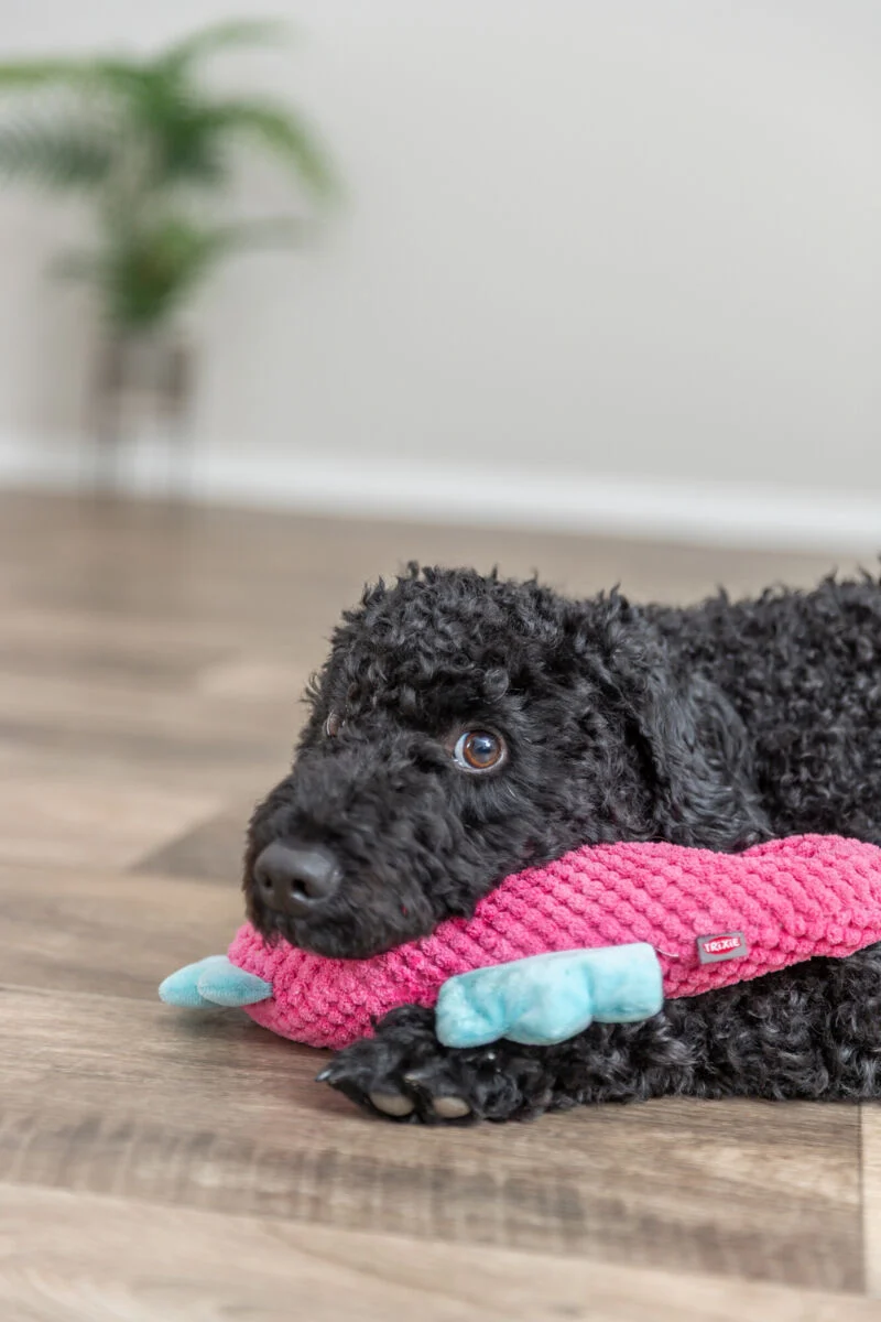 Geräuschloses Hundespielzeug Seepferdchen aus Plüsch