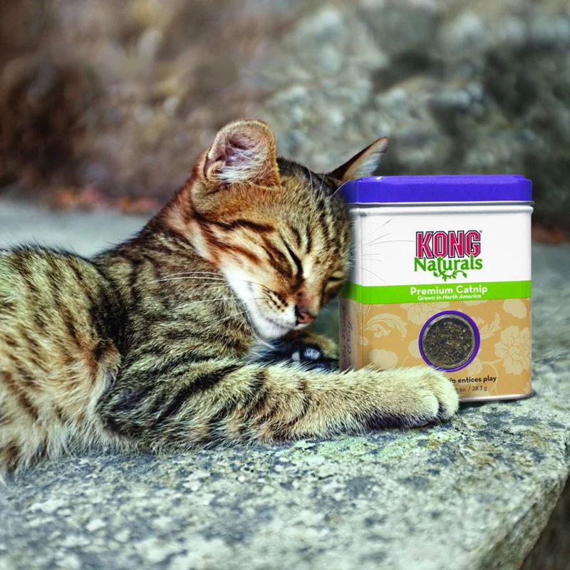 KONG Naturals Catnip – 100% natürliche Katzenminze für Katzen | 28,3 g & 56,7 g
