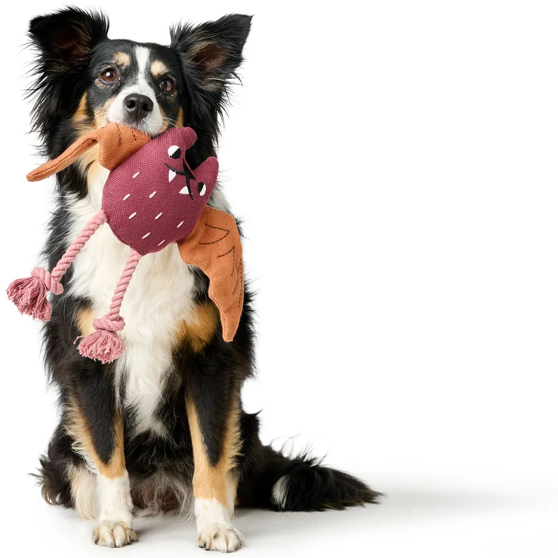 Hundespielzeug Rio