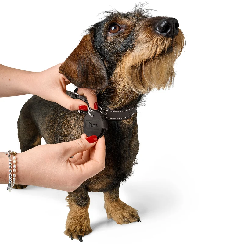 Anhänger Hundemarken-Etui Aalborg