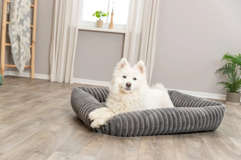 Eckiges Hundebett Lonni aus Plüsch mit Rand in Breitcord-Optik