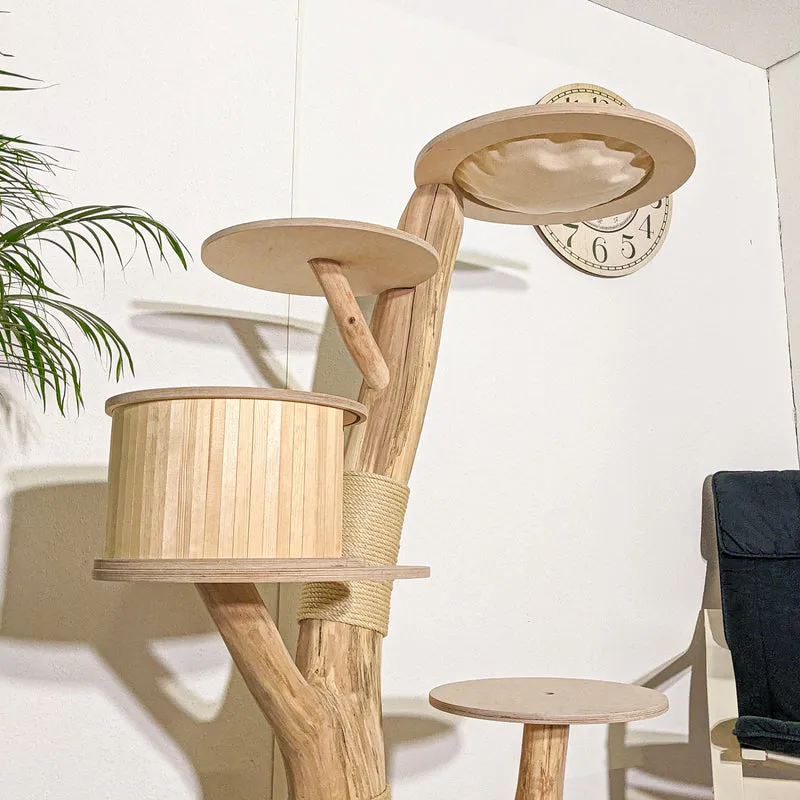 Naturkratzbaum 4340 Kratzbaum Natur Holz Design 157 cm hoch Katzenbaum
