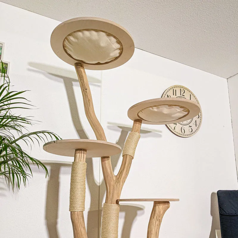 RESERVIERT + ÄNDERUNGEN - Naturkratzbaum 4325 Kratzbaum Natur Holz Design 195 cm hoch Katzenbaum