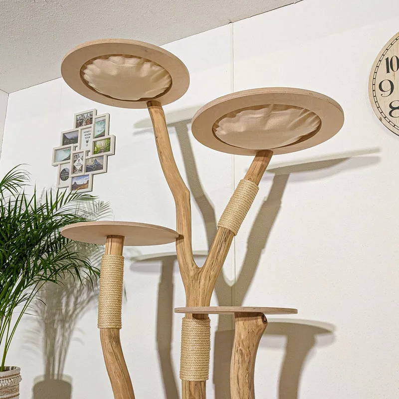 RESERVIERT + ÄNDERUNGEN - Naturkratzbaum 4325 Kratzbaum Natur Holz Design 195 cm hoch Katzenbaum
