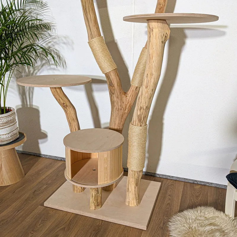 Naturkratzbaum 4324 Kratzbaum Natur Holz Design 210 cm hoch Katzenbaum