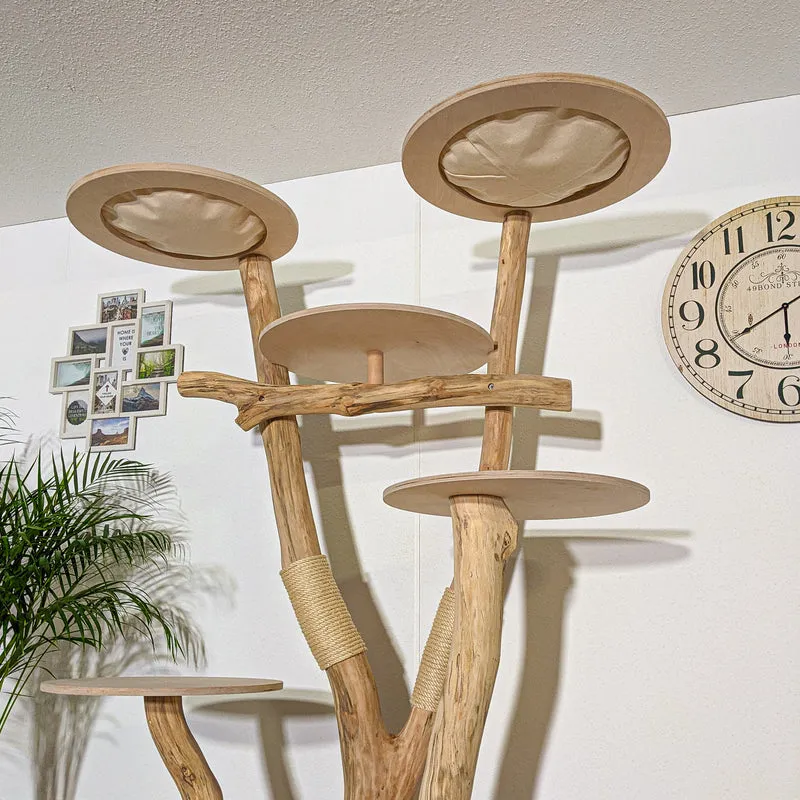 Naturkratzbaum 4324 Kratzbaum Natur Holz Design 210 cm hoch Katzenbaum