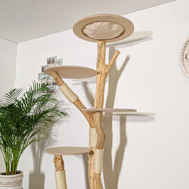 Naturkratzbaum 4305 Kratzbaum Natur Holz Design 215 cm hoch Katzenbaum