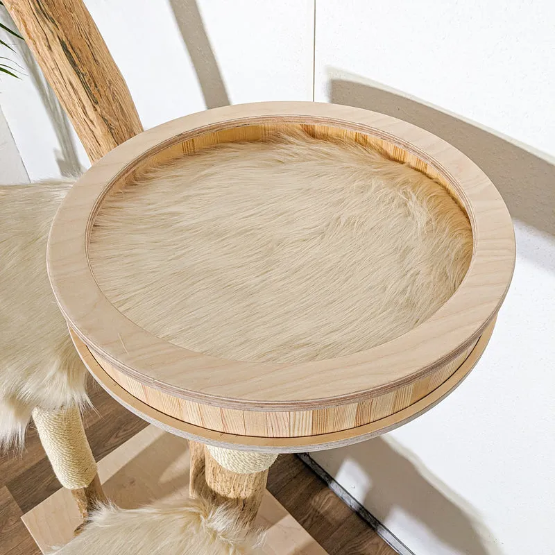 Naturkratzbaum 4303 Kratzbaum Natur Holz Design 165 cm hoch Katzenbaum