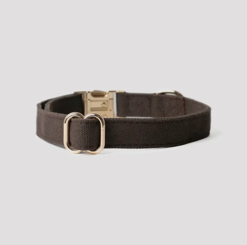 Hundehalsband-Canvas Braun