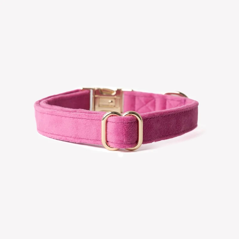 Samt-Hundehalsband Magenta
