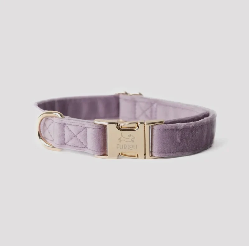 Samt-Hundehalsband Flieder