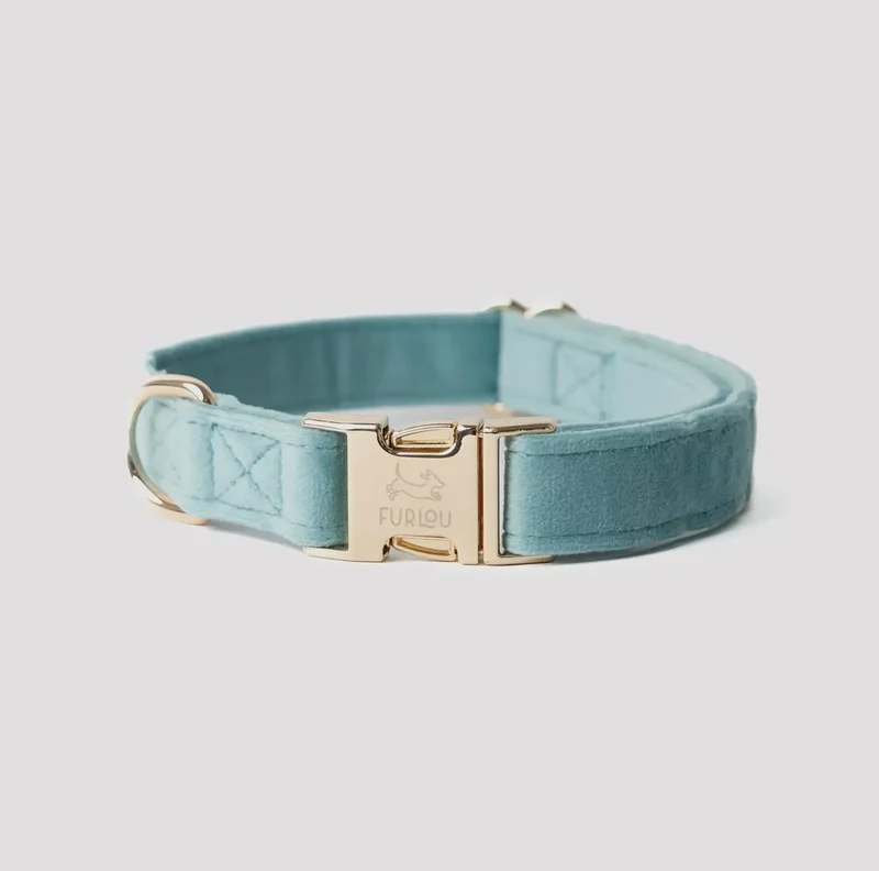 Samt-Hundehalsband Blau