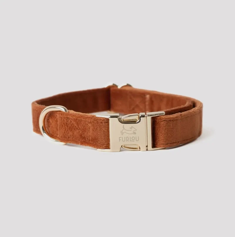 Samt-Hundehalsband Clay