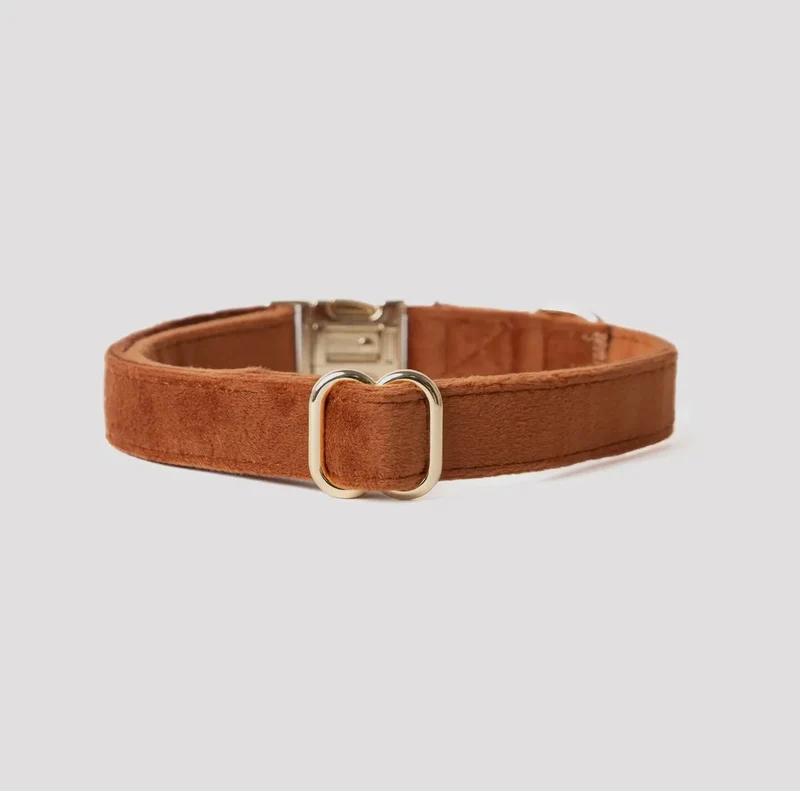 Samt-Hundehalsband Clay