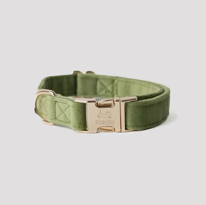 Samt-Hundehalsband Grün