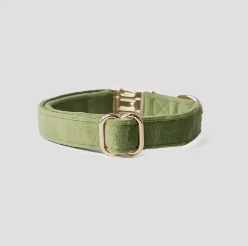 Samt-Hundehalsband Grün
