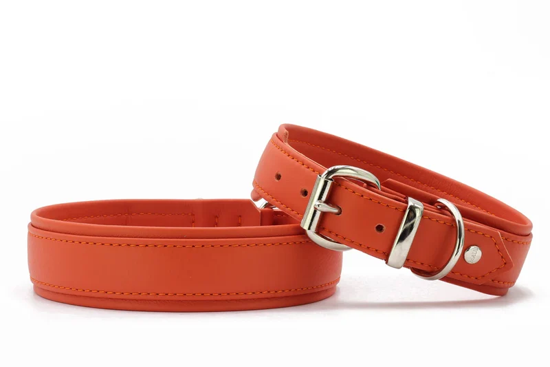 Halsband Klassik Soft Holi Color - Orange