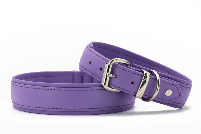 Halsband Klassik Soft Holi Color - Lila