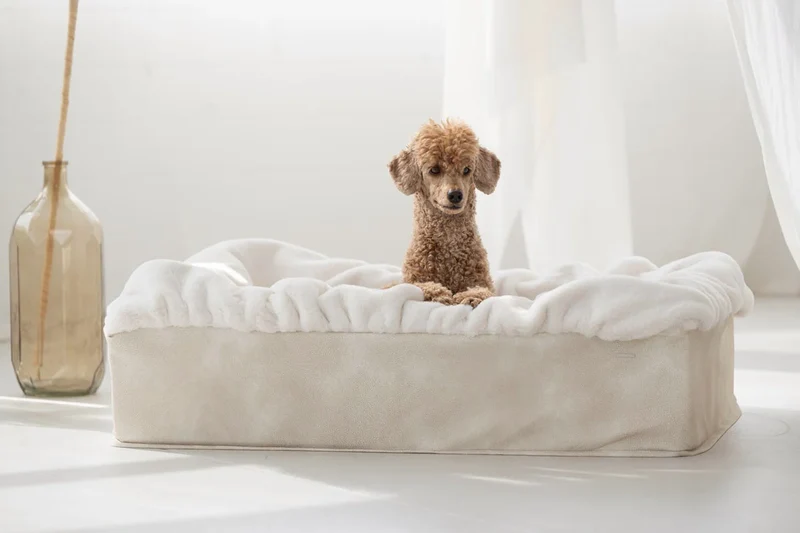 Hundebett Buddelbox - Creme