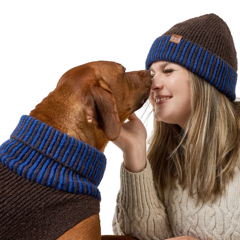 Hundepullover Odense mit Mütze Set braun/blau