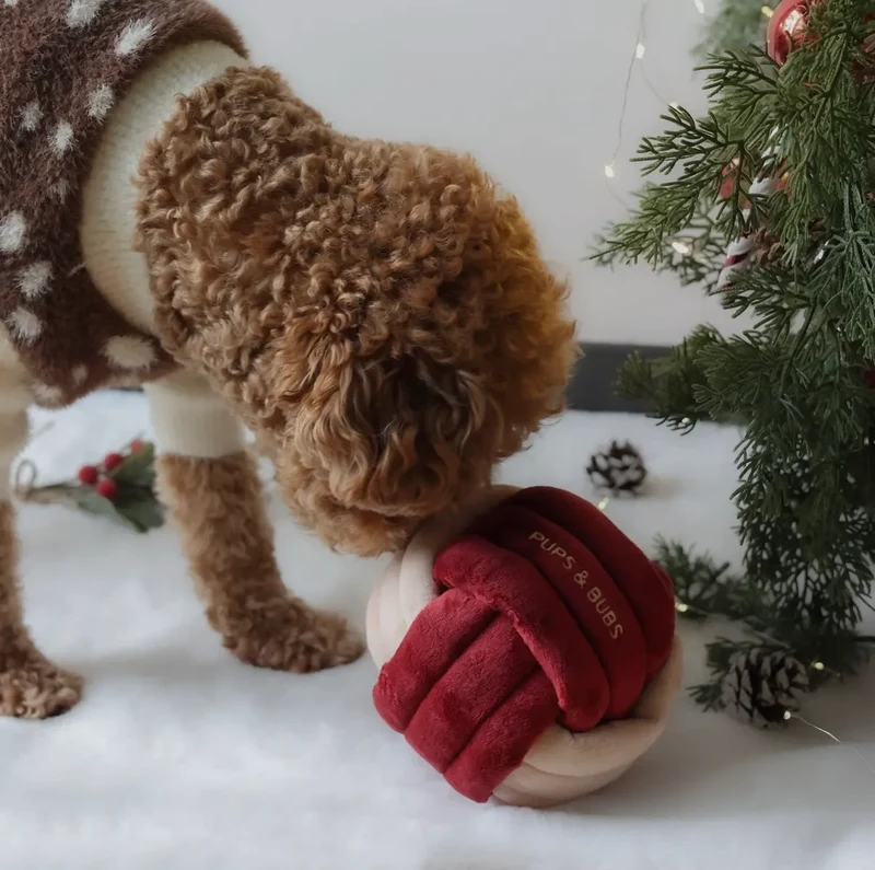 Schnüffelball