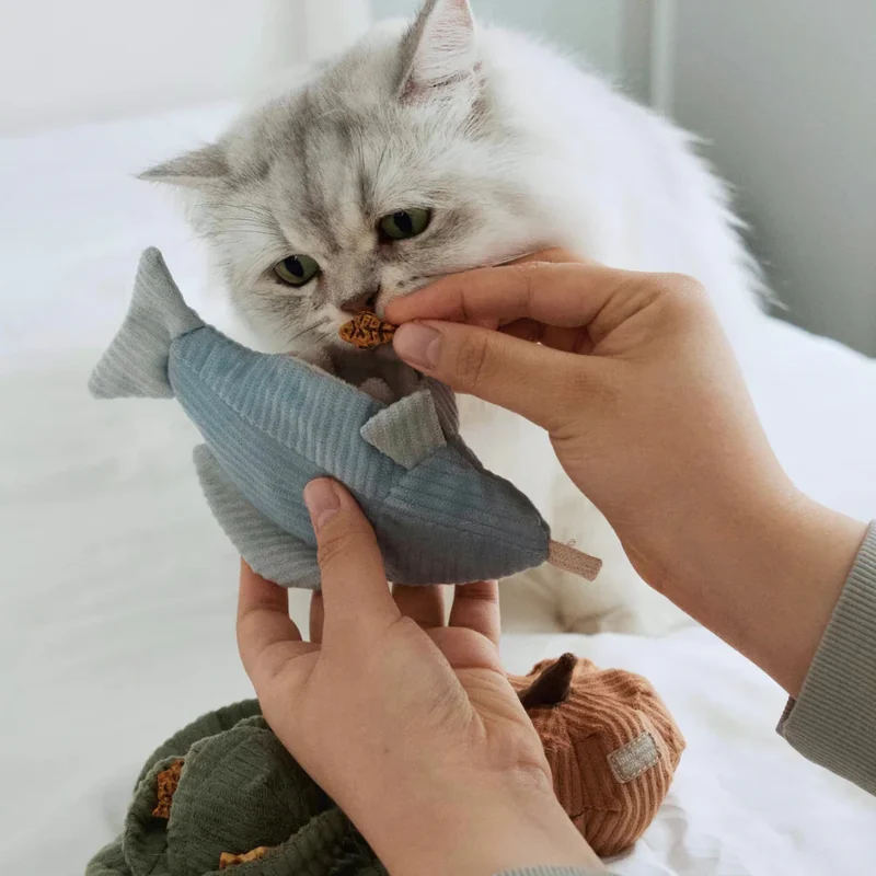 Kitty Forelle