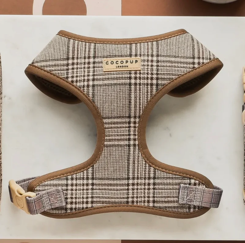 braunes Pup Plaid Geschirr