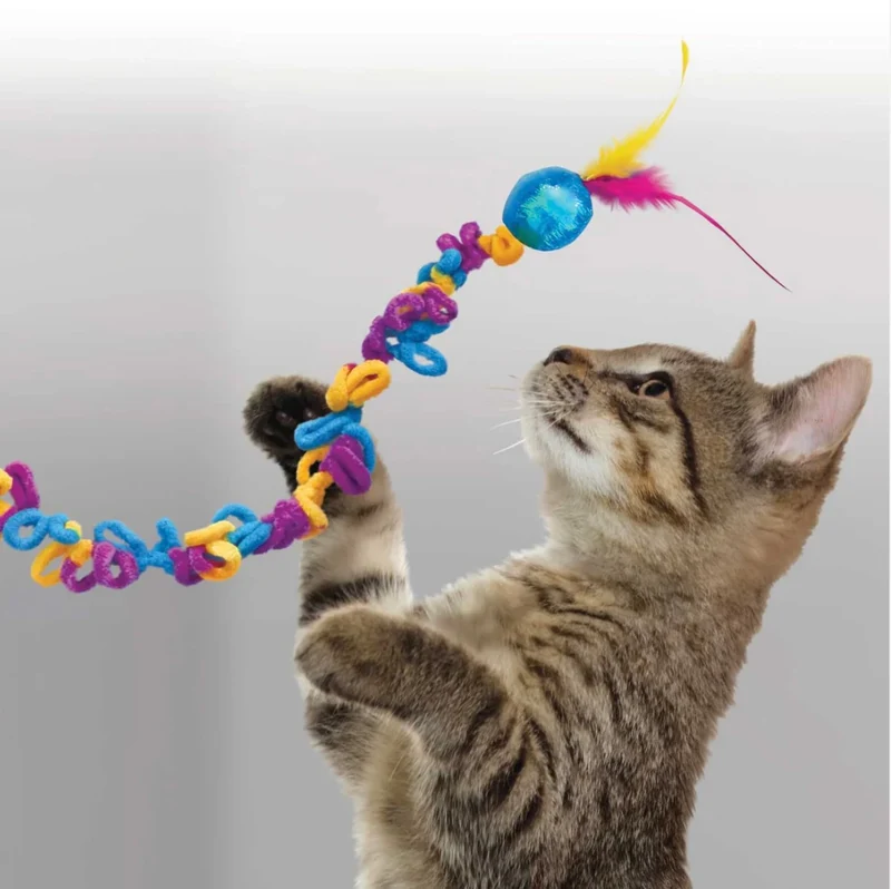 Loops Teaser mit Catnip