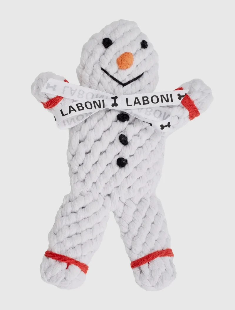 Shawn der Schneemann
