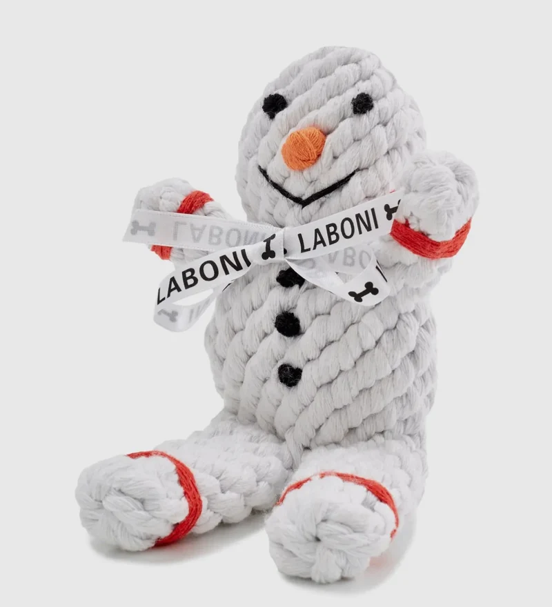 Shawn der Schneemann