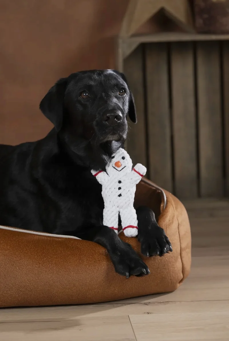 Shawn der Schneemann