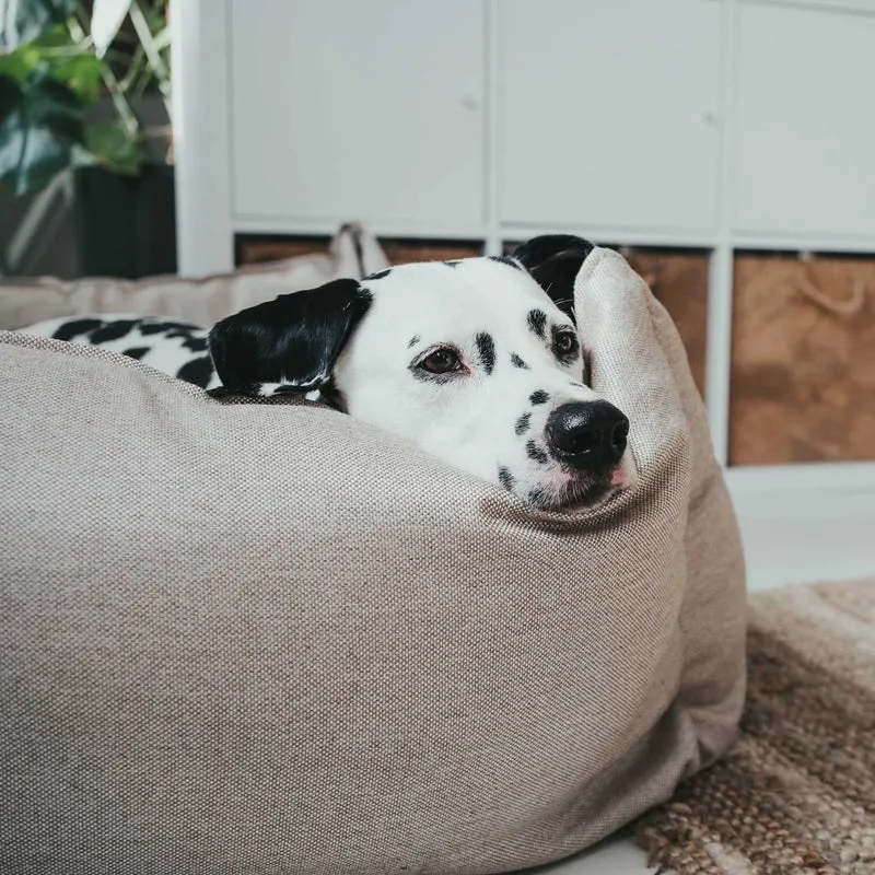 Hundesofa Livingston