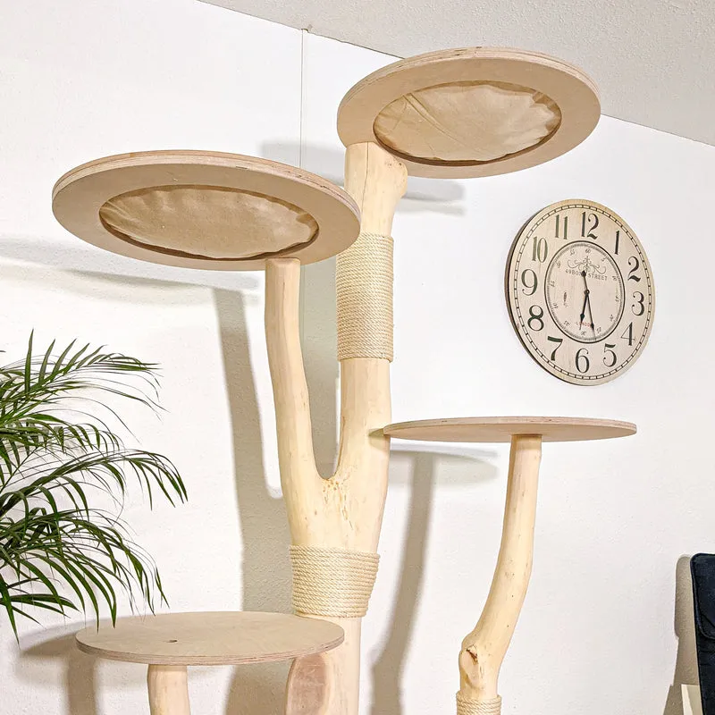 Naturkratzbaum 4289 Kratzbaum Natur Holz Design 200 cm hoch Katzenbaum