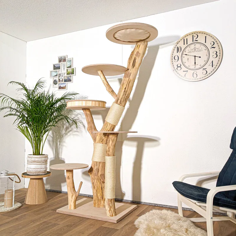 Naturkratzbaum 4281 Kratzbaum Natur Holz Design 205 cm hoch Katzenbaum