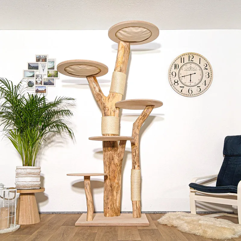 Naturkratzbaum 4280 Kratzbaum Natur Holz Design 210 cm hoch Katzenbaum
