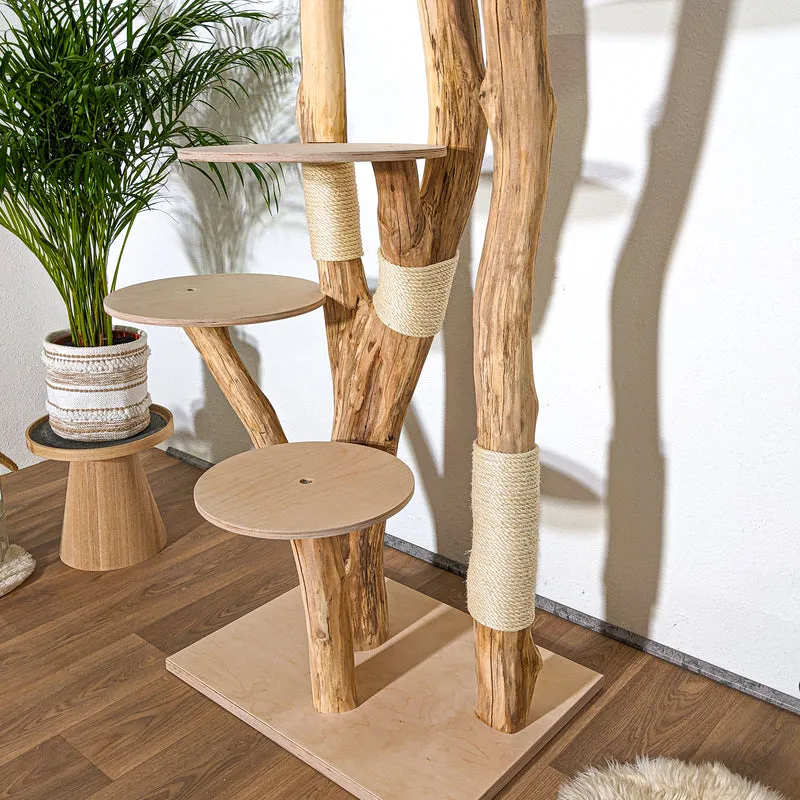 Naturkratzbaum 4278 Kratzbaum Natur Holz Design 200 cm hoch Katzenbaum